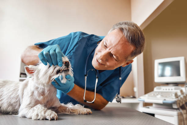 Best Emergency Denture Repair in Nacogdoches, TX